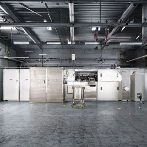 Customizable Tart Shell Production Line Biscuit Baking Machine