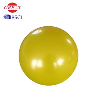 China Burst Resistant Gym Balance Ball Bear 1000lb Weight , Soft 75 Cm Gym Ball on sale