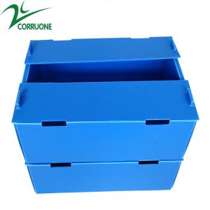 Corruone waterproof Fruit Vegetable Packing PP Cartonplast Grapes Packing Boxes