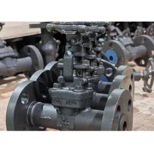 Cheap Class 150lb-1500lb Steel Gate Valve with Bolted Bonnet Manual Operation for sale