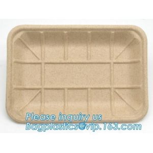 Plate Compostable Wheat Straw Fiber, Wheat Straw Dumpling Plate, Wheat straw eco