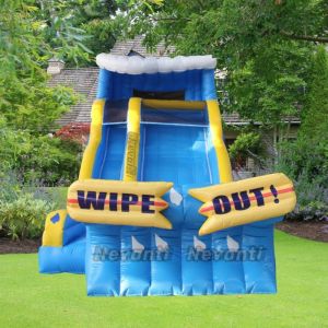 Customized Color Inflatable Water Slide Park Outdoor Dragon Slide for 5-10
