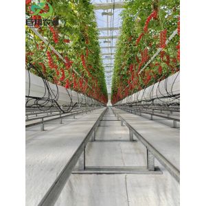 Precise and Accurate Monitoring Hydroponic Seedling Greenhouse with Humidity