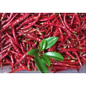 Calcium Rich Dried Birds Eye Chilli For Bold And Spicy Culinary Creations