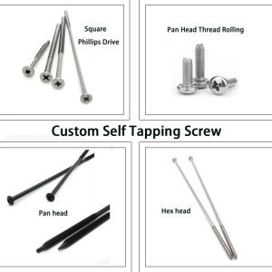 ISO9001 2015 Certified SS304 Stainless Steel Self Tapping Screws for Metric