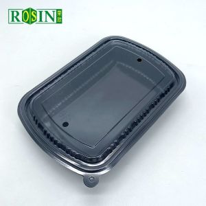 Rectangular Plastic Disposable Food Containers Thermoformed With Cover
