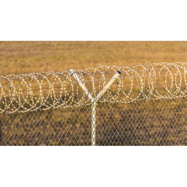 Quality High Strength Preferred Blade Razor Wire Fencing Security Barrier wholesale