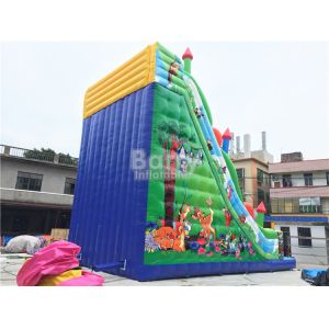 Animal Theme Inflatable Single Lane Slide Wet Dry Backyard Clearance Bouncer