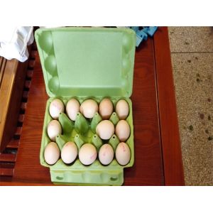 High Performance Recycled Pulp Molding Machine For Fruit / Egg Packing Trays