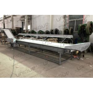 LED Vegetable Sorting Conveyor for Palm Date Selection in Food Shop and
