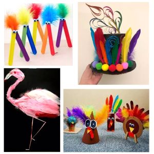 Various size of goose feathers, turkey feathers, chicken feathers, peacock ,