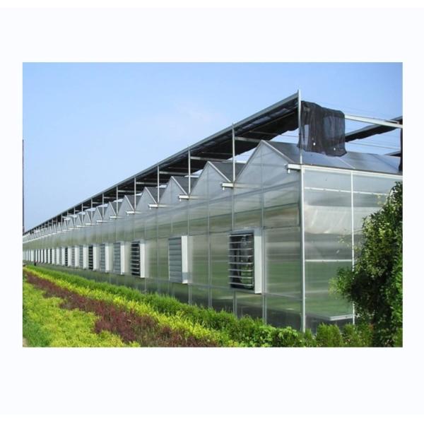Quality Sturdy And Large Greenhouse Agriculture Polycarbonate With Galvanized Steel Frame wholesale
