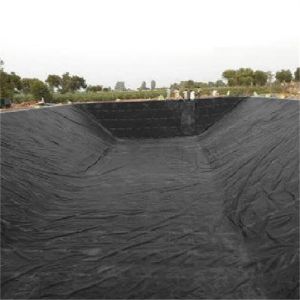 1m-8m Width Geomembrane Sheet 850% Elongation at Break for Fish Pond and Shrimp Liner