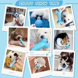 China Puppy Toys For Teething Small Dogs Cute Blue Pet Dog Chew Toys For Puppies Soft Rubber Funny Bone Ball Donut Indoor on sale