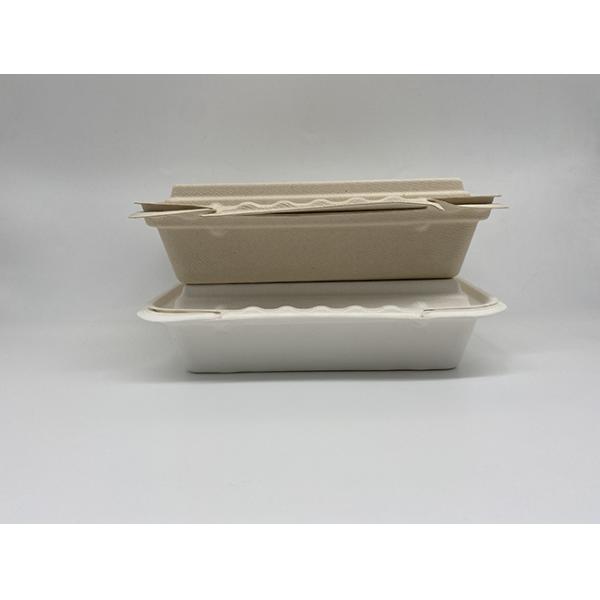 Renewable 9x6 Inch 39g Biodegradable Takeout Containers
