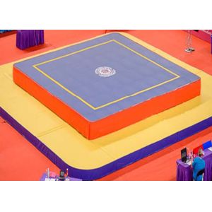 Durable Wushu Platform Gymnastics Training Mats Competition Sanda Mat