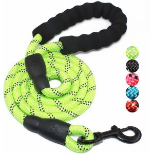 5 FT Nylon Dog Leash With Comfortable Padded Handle