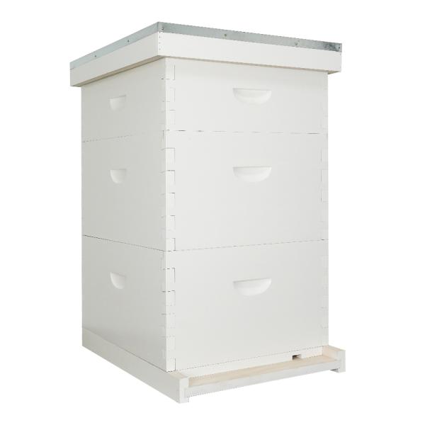 Bee Farm Fir Wood Painted Langstroth Beehive