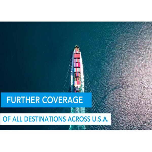 Quality Rapid International Sea Freight Sea Forwarding Agent  From China To Europe Timely wholesale