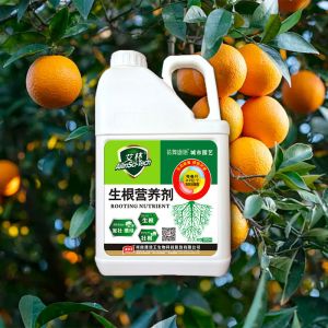 Alginate Plant Roots Seaweed Extract Fertilizer To Promote Plant Growth