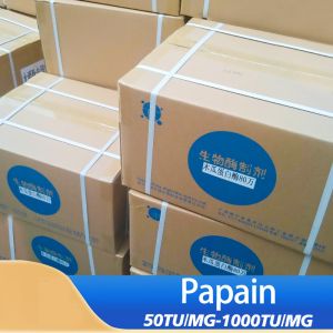 Enzyme Papain 50TU/MG-1000TU/MG Providing Enzyme Preparation Sample Minimum