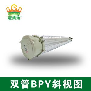 China LED Light Explosion Proof Fluorescent Light Exd IIB T6 Gb/Ex TD A21 IP65 T80C 5 Lumens Industrial Grade on sale