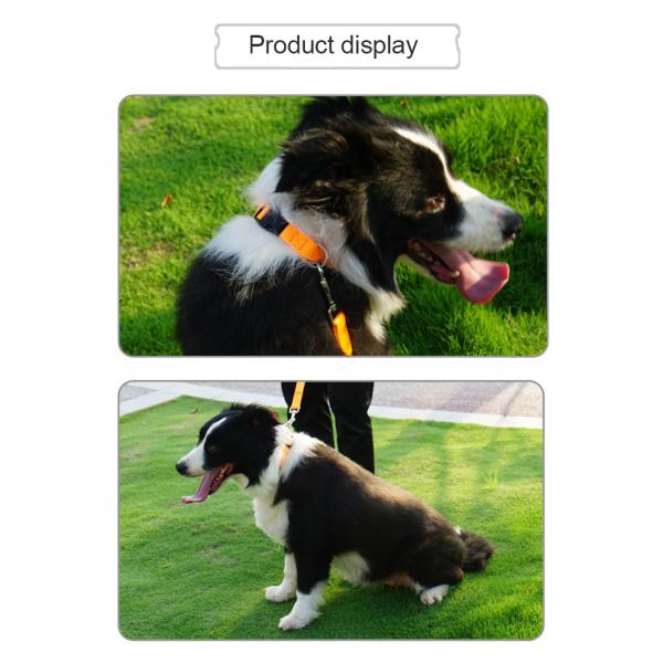 Custom Leather Dog Collars And Leashes Set Striped Harness Collar Leash Set