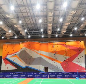 China Entertainment Equipment Gym Climbing Walls 100 Passenger 8-63 Old Age on sale