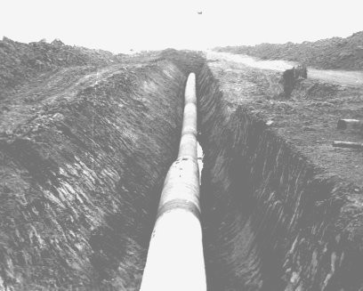 Customized Size Sintered Silver Silver Chloride Electrodes For Pipeline