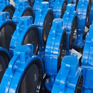 API/ANSI/DIN/JIS/ASME Standard Wafer Butterfly Valve with EPDM PTFE Rubber