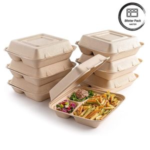 Blister Eco Compostable Clamshell 3 Compartment Disposable Lunch Box Sugarcane