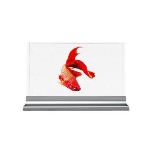 Cheap HD Interactive Transparent OLED Display 30in Transparent Digital Signage for sale