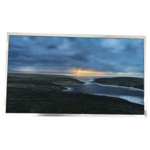 M215H1-L03 LCD screen display panel