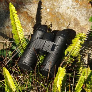 Waterproof Fogproof Hunting Telescope 10X42 High Power Military Binoculars