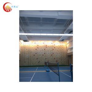 Indoor Speed Climbing Wall Auto Belay Waterproof For Gymnasium