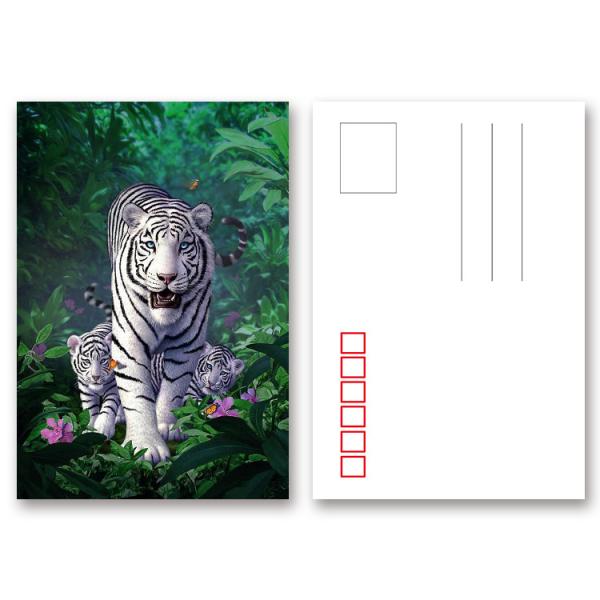 Quality Animial Image 3d Lenticular Card For Children With Tiger wholesale