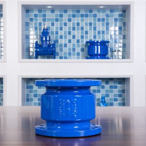 Cheap QT450 Ductile Cast Iron Silent Check Valve PN10 PN16 DN100 Flanged Ends for sale