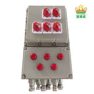 ExProof Flameproof Control Distribution Panel Board 2mm Certified By ATEX CNEX