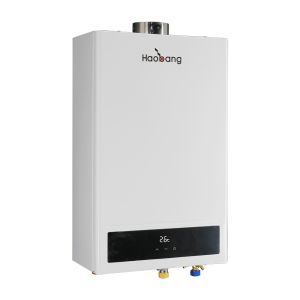 Balanced Flue Gas Water Heater Gas Water Heater for Energy Conservation and