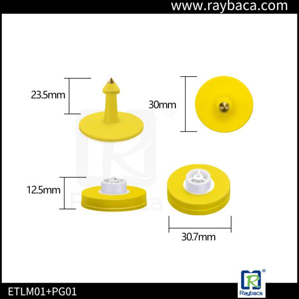 Quality Livestock Tracking Swine Ear Tags / Animal Identification Tags With Tag Applicator wholesale