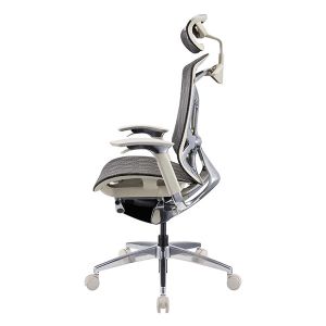 China Modern Reclining Ergonomic Office Chair BIFMA Standard PA Plastic Frame on sale