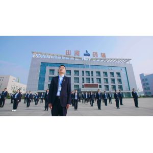 Powder State Croscarmellose Sodium In Tablets Capsule Disintegrant