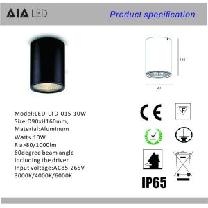 IP65 waterproof ceiling mounted 10W ceiling light COB LED downlight&exterior LED