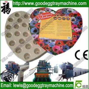 Automatic Plate Molding Machine(FC-ZMW-2)