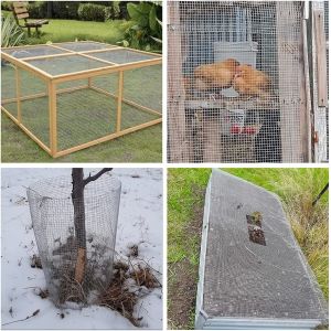 New Arrival Latest Design China anping Wire Mesh Roll Product welded wire mesh 3