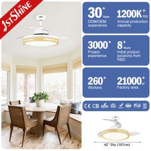 Smart 42 Inch LED Invisible Ceiling Fan For Bedroom And Living Room