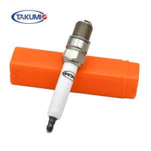 R5GL12-77 Pre-Chamber Spark Plug for MWM L1863B L1863DP L1863IP with Double