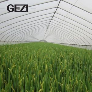 Insect nets protect your garden seedlings, vegetables, fruits, plants and ponds