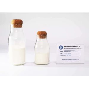 Cheap Active Type ii Collagen extracted from Chicken Sternum with 10% Undenatured Type II Collagen for sale