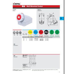 Wall Mounting 63A 3P 230V Surface Socket Outlets